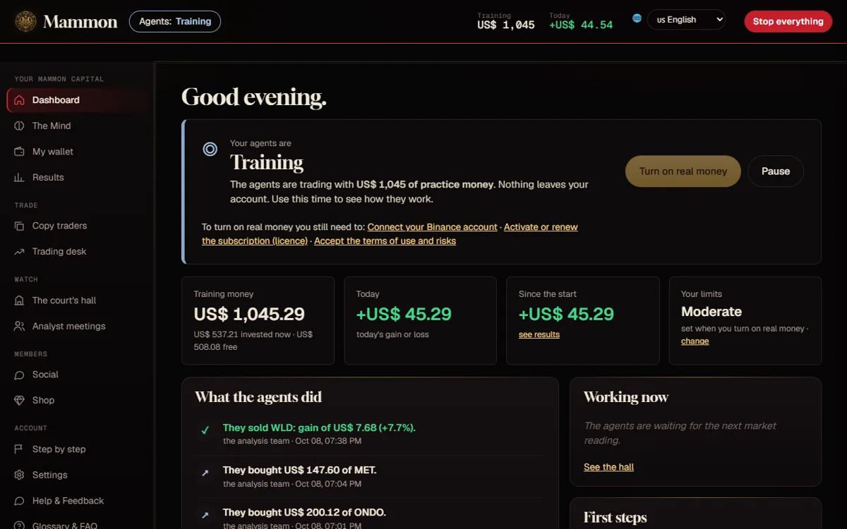 The dashboard of a training account in the green, with the agents at work