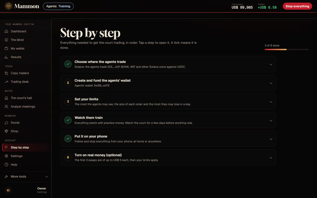 Step by step with Solana: the agents' wallet created, with its address