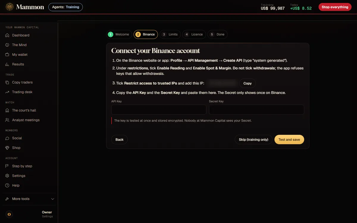 The app's setup screen for the Binance key, with the four steps and the two fields