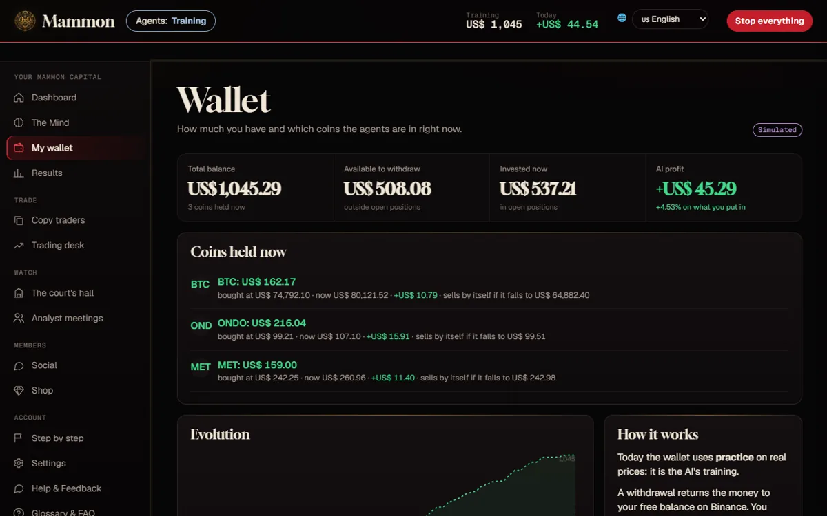 My wallet: what the agents hold and the cash available